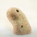 zacht zeer 2, 40x40x20cm, polyether, hout